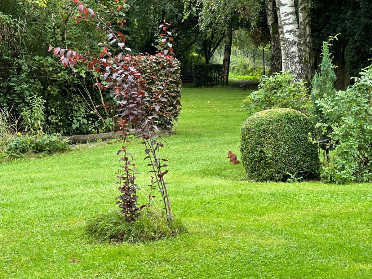 Hotel Steineweiher St. Vith Luaran gambar