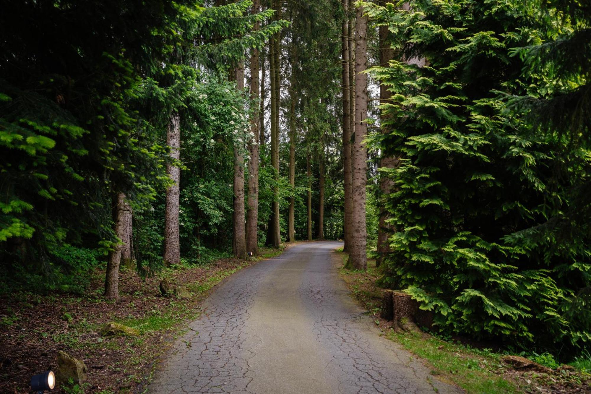 Hotel Steineweiher St. Vith Luaran gambar