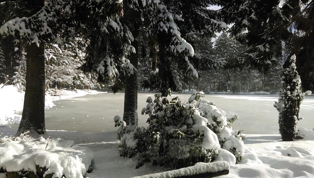 Hotel Steineweiher St. Vith Bilik gambar